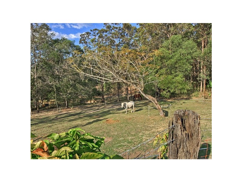 7 Mangifera Close, Wights Mountain QLD 4520