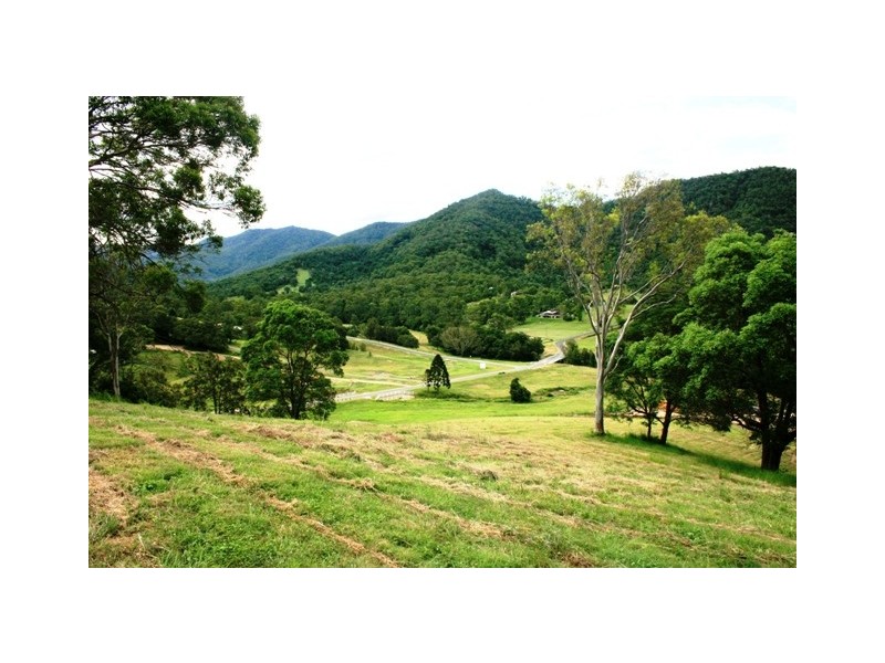 Lots 3 to 31 Morrison Road, Cedar Creek QLD 4520