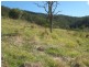 Lots 3 to 31 Morrison Road, Cedar Creek QLD 4520
