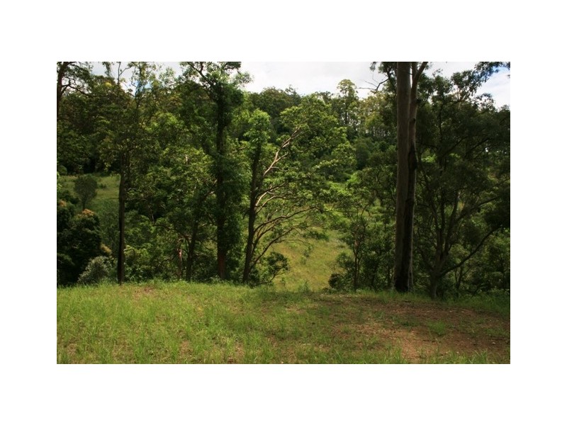 Lots 3 to 31 Morrison Road, Cedar Creek QLD 4520