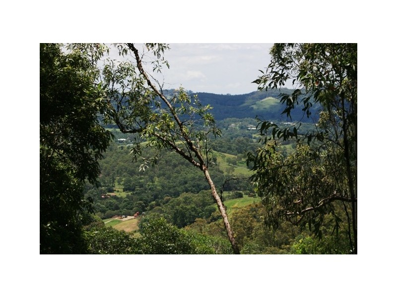Lots 3 to 31 Morrison Road, Cedar Creek QLD 4520