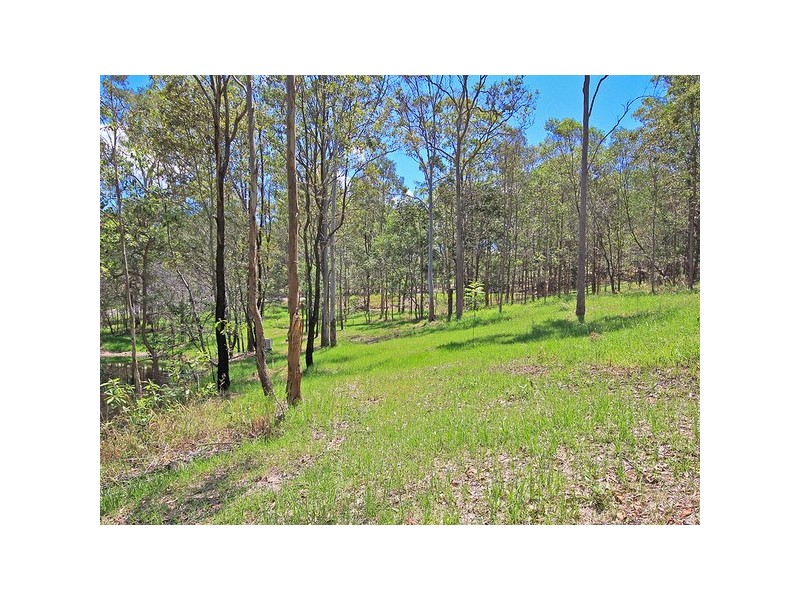 4 Springfield Ct, Wights Mountain QLD 4520
