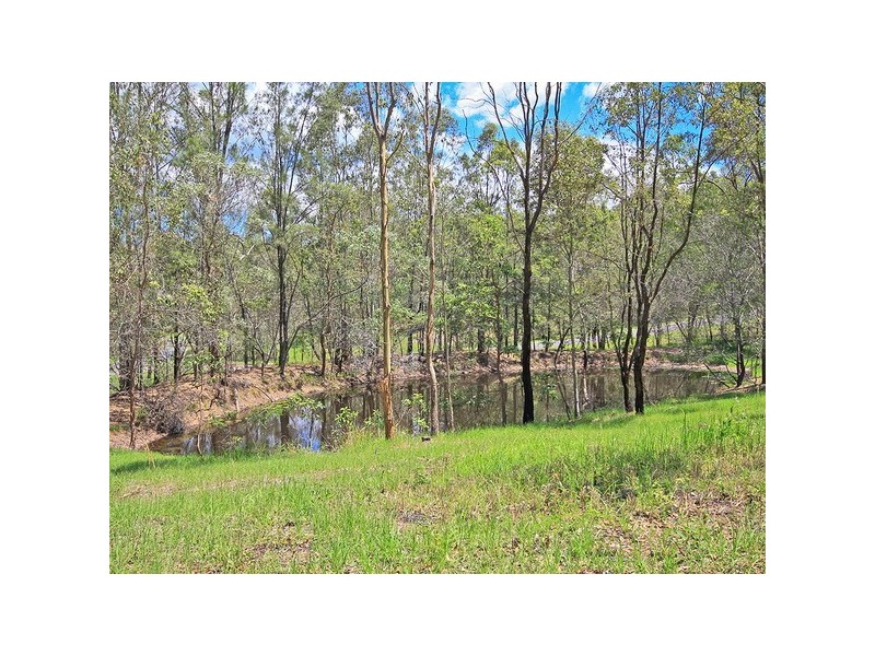 4 Springfield Ct, Wights Mountain QLD 4520