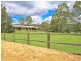 12 Davison Road, Camp Mountain QLD 4520