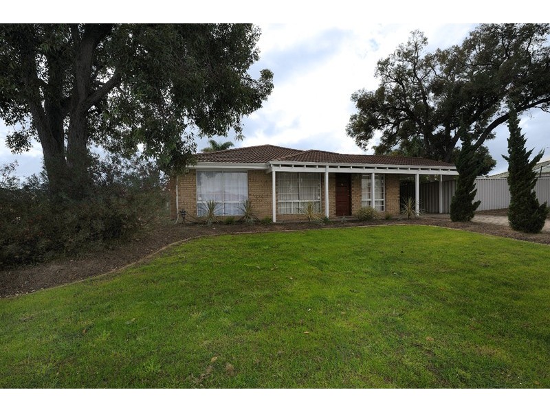 1 Pinetree Close, Alexander Heights WA 6064