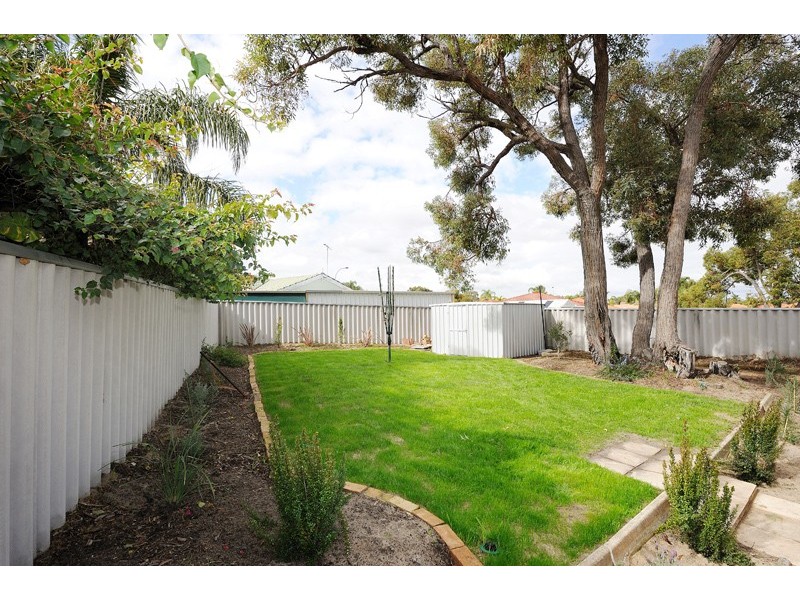 1 Pinetree Close, Alexander Heights WA 6064