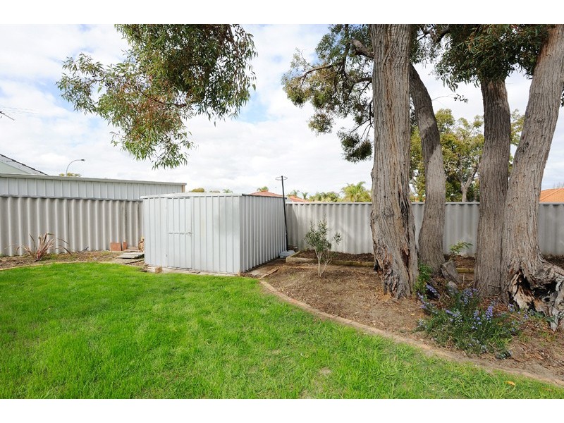 1 Pinetree Close, Alexander Heights WA 6064