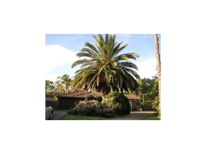 17 Chancery La, Alexander Heights WA 6064