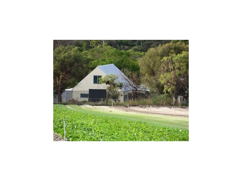 159 Badgerup, Wanneroo WA 6065