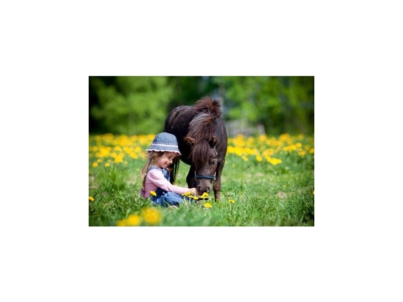 159 Badgerup, Wanneroo WA 6065