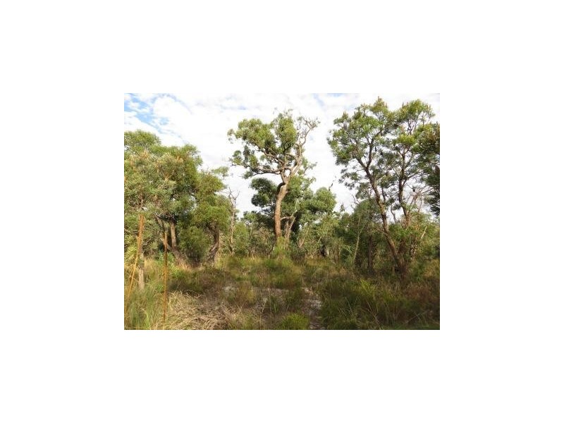 159 Badgerup, Wanneroo WA 6065