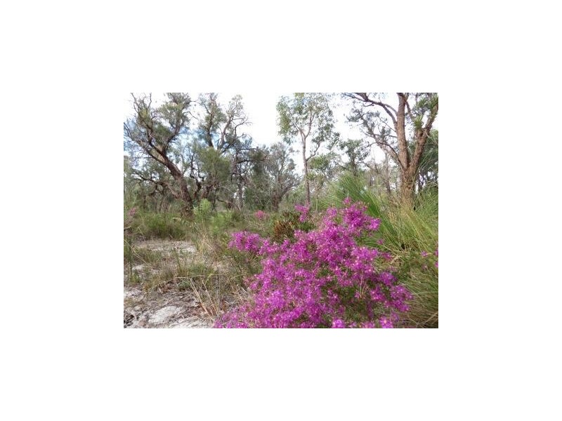 159 Badgerup, Wanneroo WA 6065