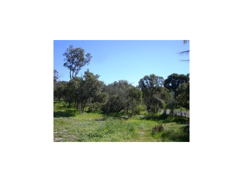 159 Badgerup, Wanneroo WA 6065