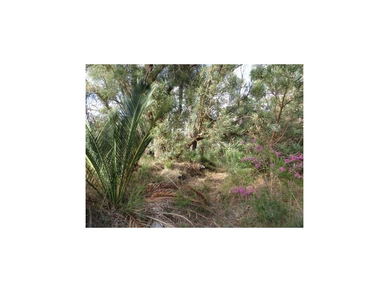 159 Badgerup, Wanneroo WA 6065