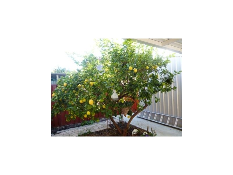 27a Dounley St, Balga WA 6061