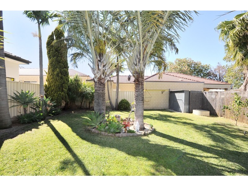 16 Millgate Road, Balga WA 6061