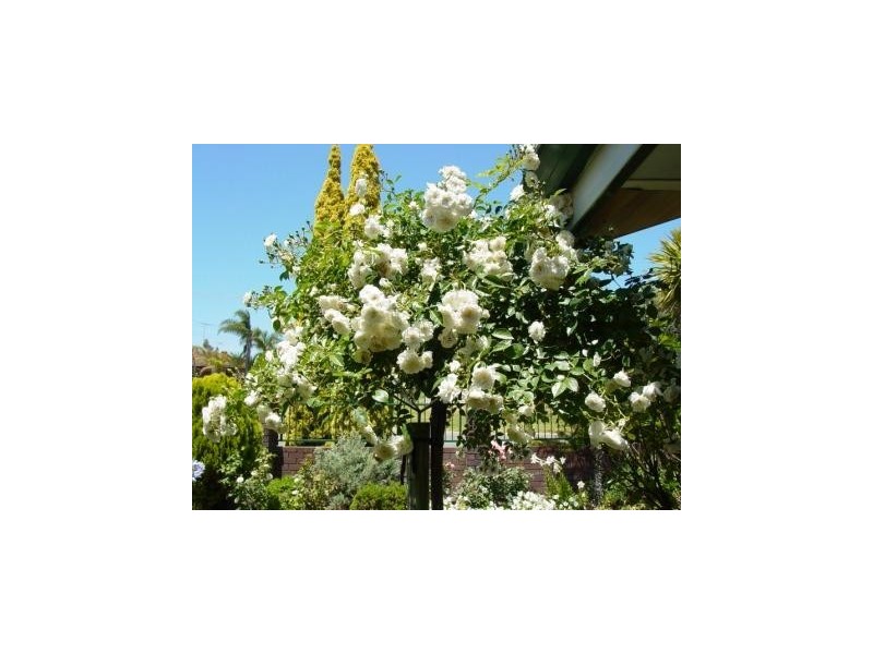 17 Bredhurst Rd, Marangaroo WA 6064