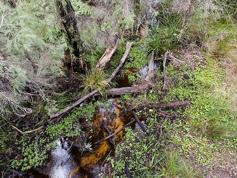 220 Patricia St, Caversham WA 6055