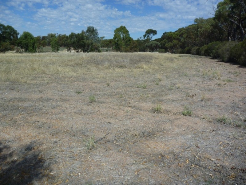Lot 101 Great Southern Hwy, Gwambygine WA 6302