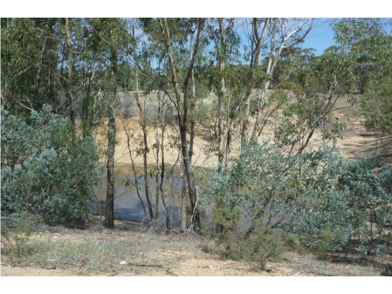 Lot 101 Great Southern Hwy, Gwambygine WA 6302