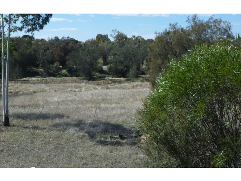 Lot 101 Great Southern Hwy, Gwambygine WA 6302