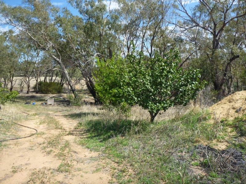 Lot 101 Great Southern Hwy, Gwambygine WA 6302