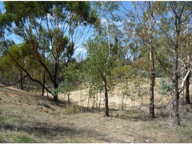 Lot 101 Great Southern Hwy, Gwambygine WA 6302