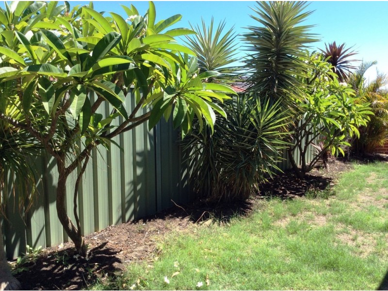 46 Stonewall Cir, Landsdale WA 6065