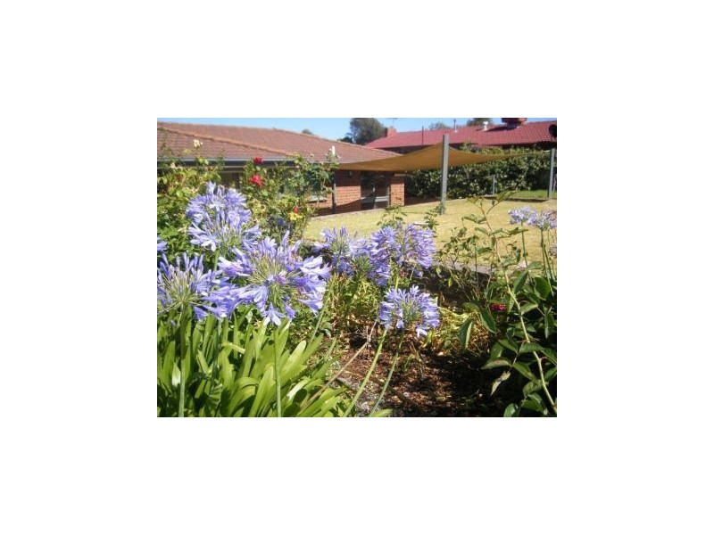 56 Sandison Road, Hallett Cove SA 5158