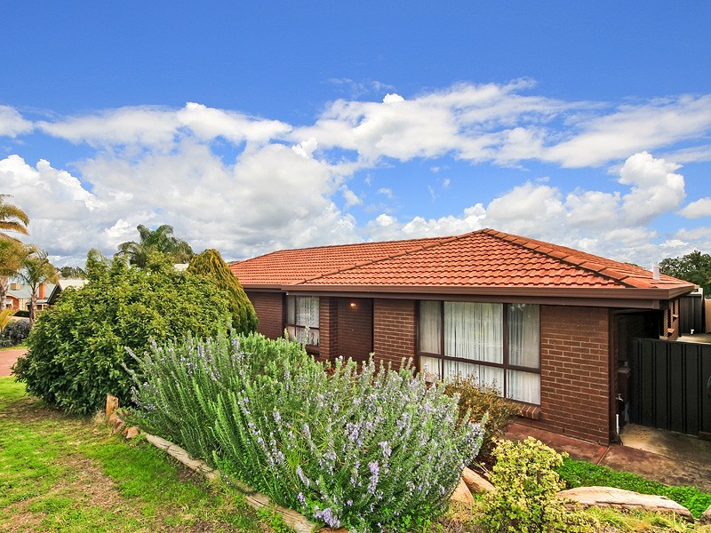 11 Tigress Drive, Hallett Cove SA 5158