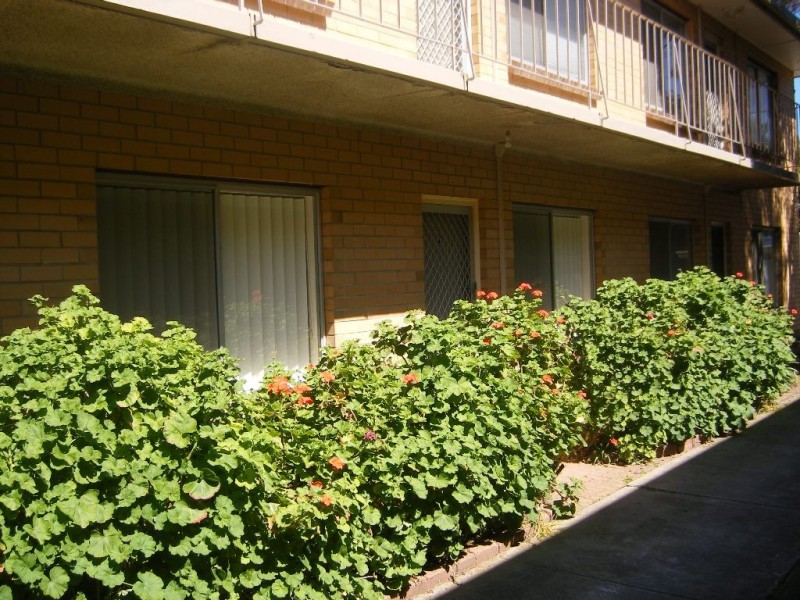 2/23 East Street, Torrensville SA 5031