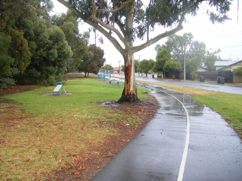 4 Osborn Terrace, Plympton SA 5038