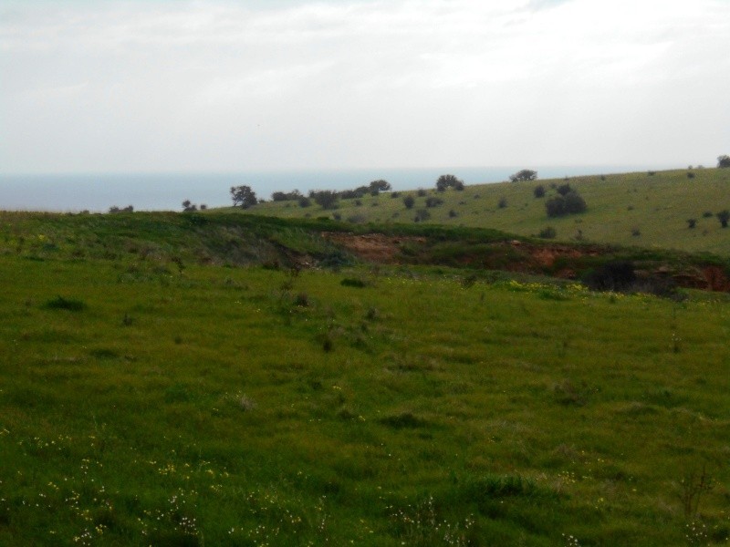 54 Perry Barr Road, Hallett Cove SA 5158