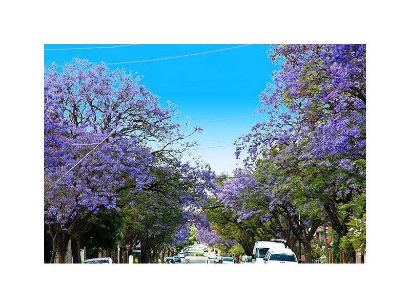 11/7-9 L’Estrange Street, Glenside SA 5065