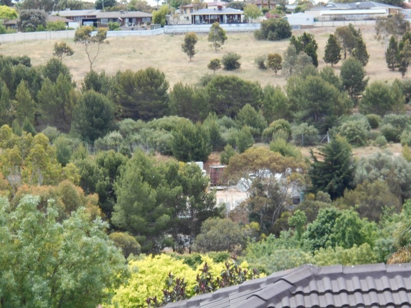 4 Robinia Court, Sheidow Park SA 5158