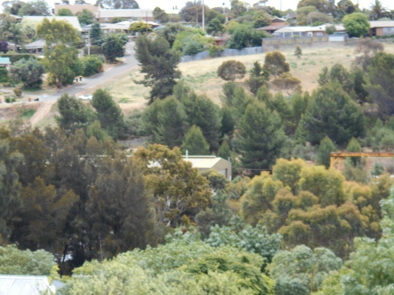 4 Robinia Court, Sheidow Park SA 5158