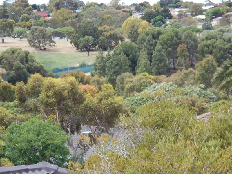 4 Robinia Court, Sheidow Park SA 5158