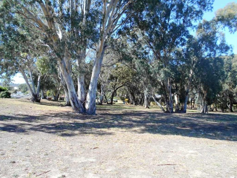 29 Equestrian Drive, Woodcroft SA 5162