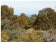 28 COORABIE CRESCENT, Hallett Cove SA 5158