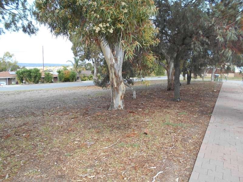 10 ELURA COURT, Sheidow Park SA 5158