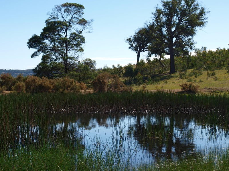 355 Saunders Road, Kilmore East VIC 3764