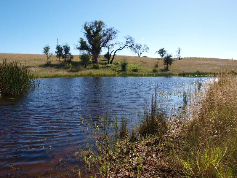 355 Saunders Road, Kilmore East VIC 3764
