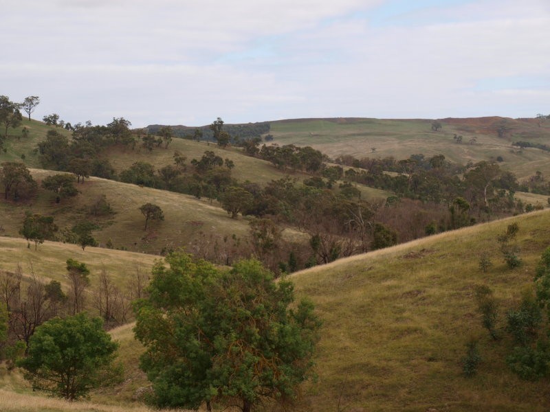 355 Saunders Road, Kilmore East VIC 3764