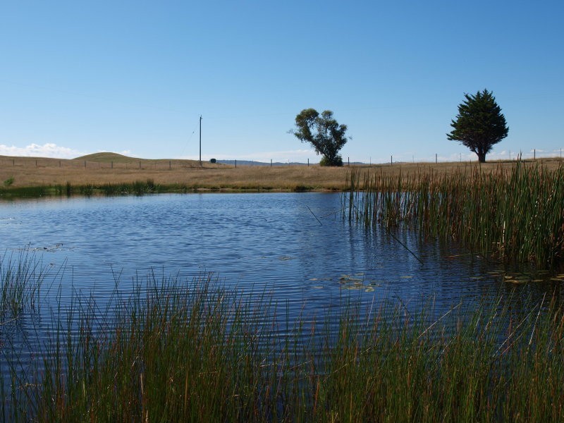 355 Saunders Road, Kilmore East VIC 3764