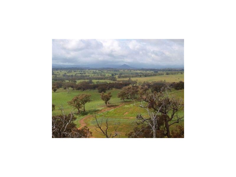 15 K  Northern Highway, Pyalong VIC 3521