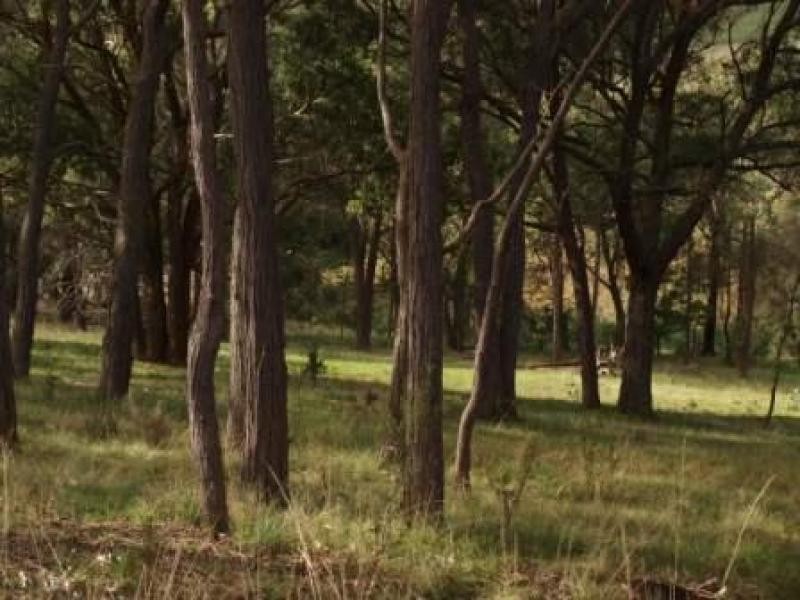 Lot 12 Sir Leo Curtis Drive, Wandong VIC 3758