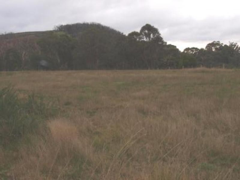 590 OGradys Road, Wandong VIC 3758