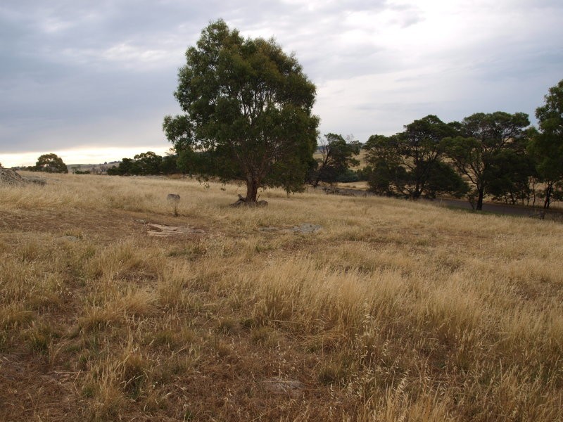 995 West Road., Pyalong VIC 3521