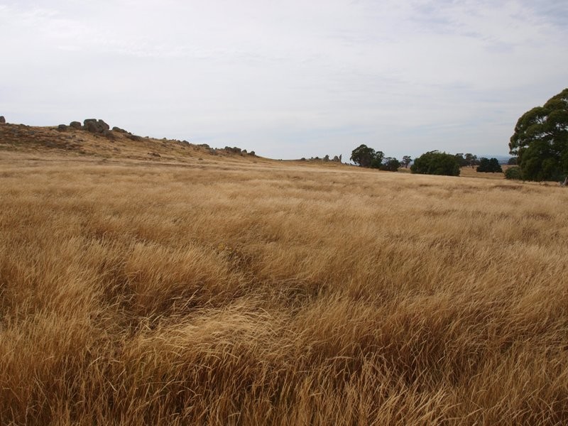 520 West Road, Pyalong VIC 3521