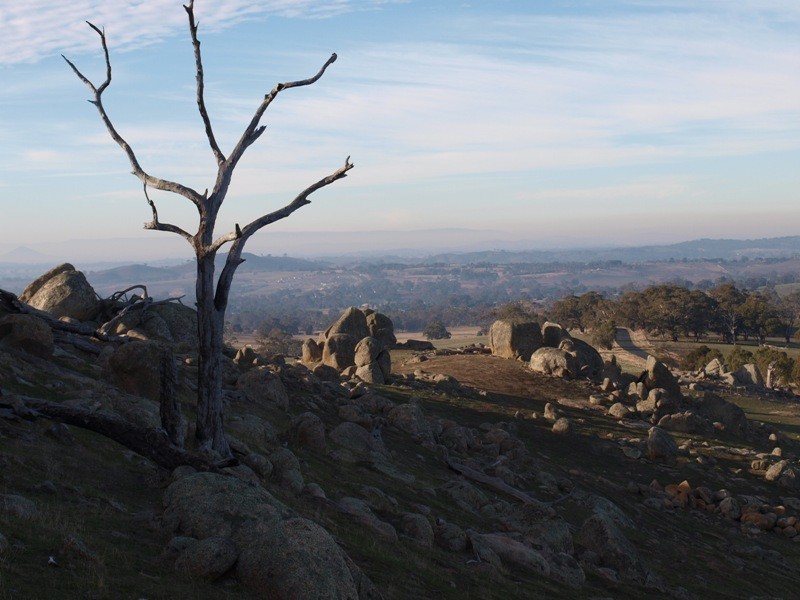 520 West Road, Pyalong VIC 3521